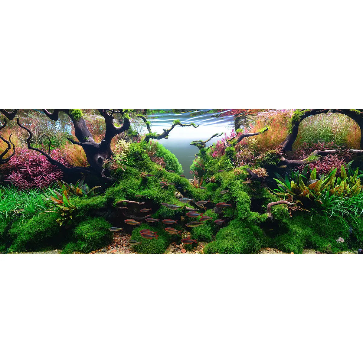 Chihiros Aquarium Acrylic UV Print POD Chihiros Aquatic Studio