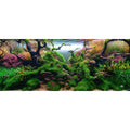 Chihiros Aquarium Acrylic UV Print POD Chihiros Aquatic Studio