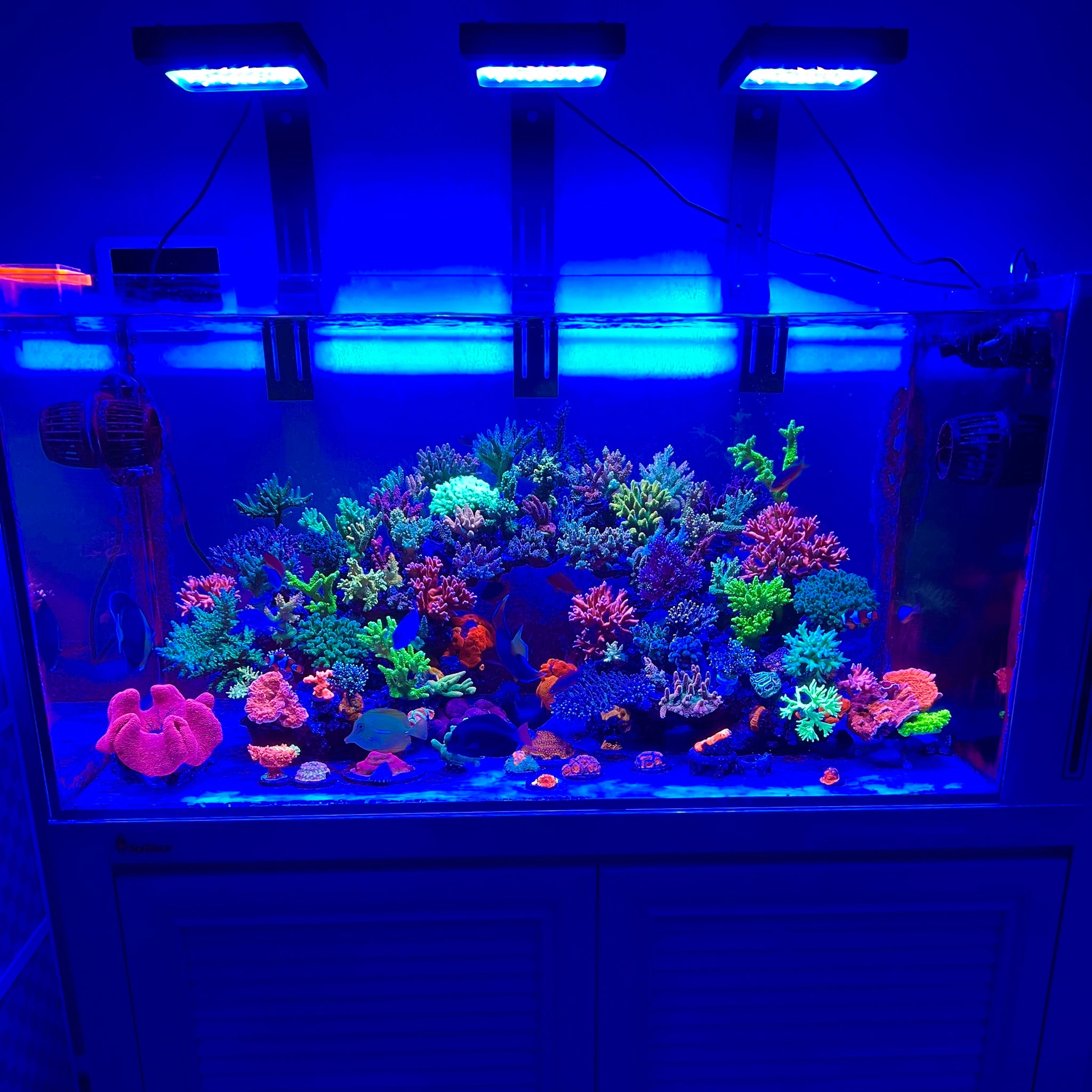 World-class forum reefbuilders made a report on our new reef light Chihiros Nova 1 chihiros aquatic studio